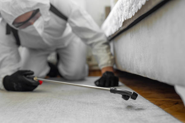 Professional Pest Control technician working in Lee County County, AR